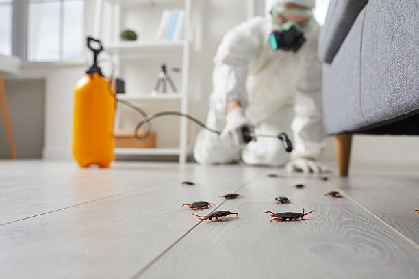 Commercial Kitchen Cockroach Control in Stewart Manor